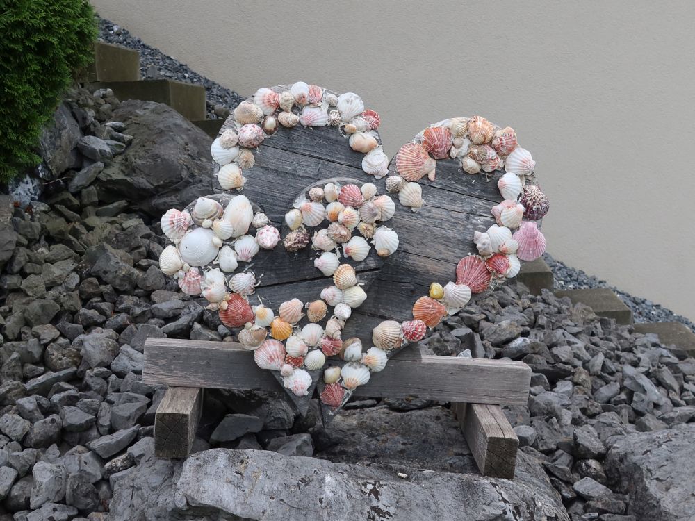 Herzchen aus Muscheln