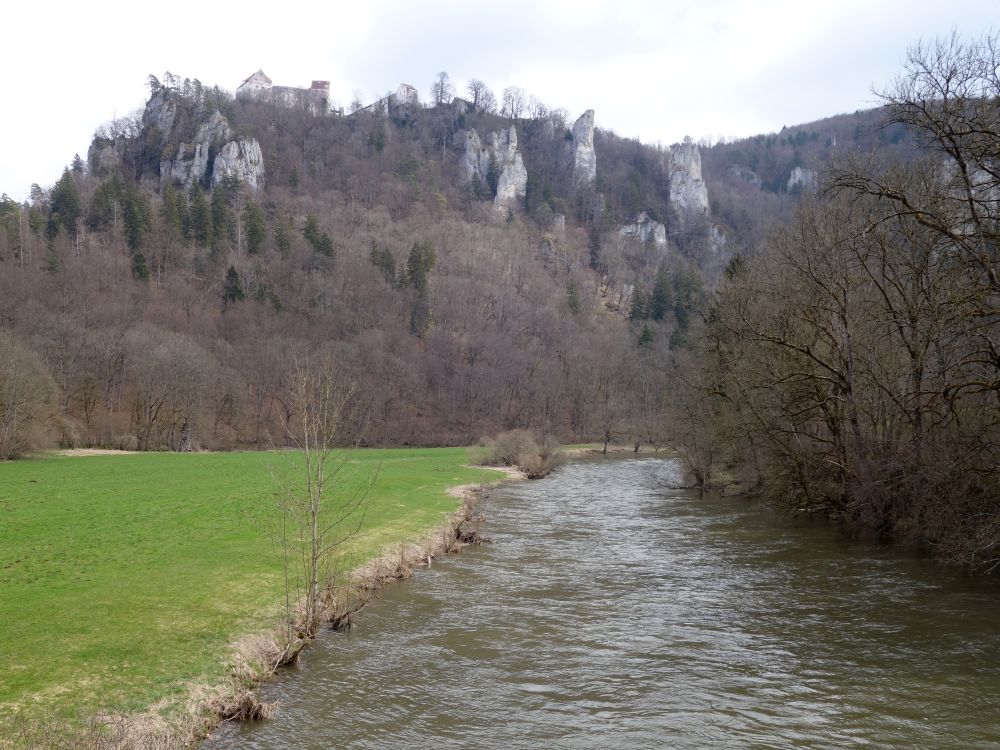 Burg Wildenstein und Donau