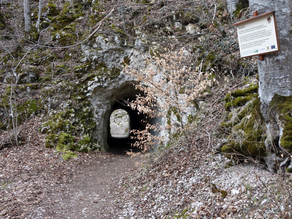 Tunnel am Wildpfad