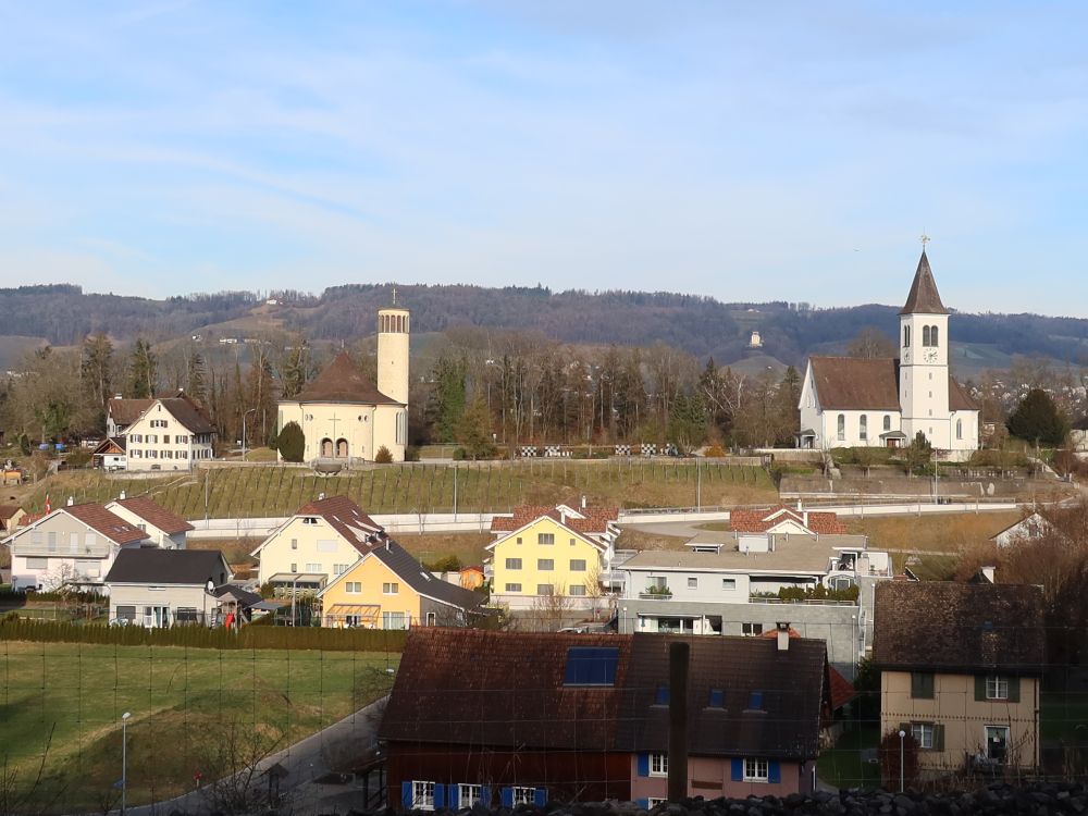 Kirchen von Bussnang und Ottoberg
