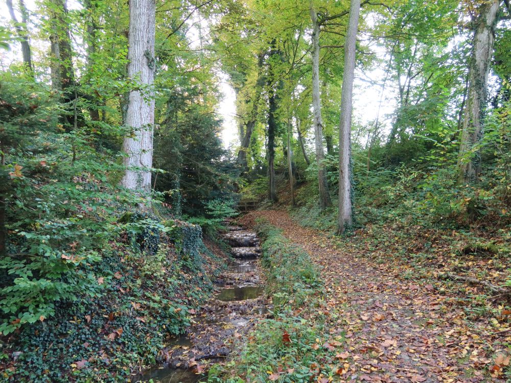 Tobel überm Schwanenteich