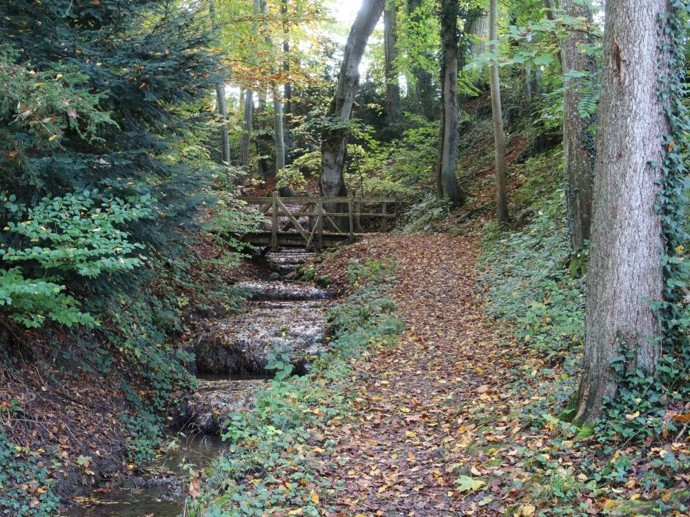 Tobel überm Schwanenteich