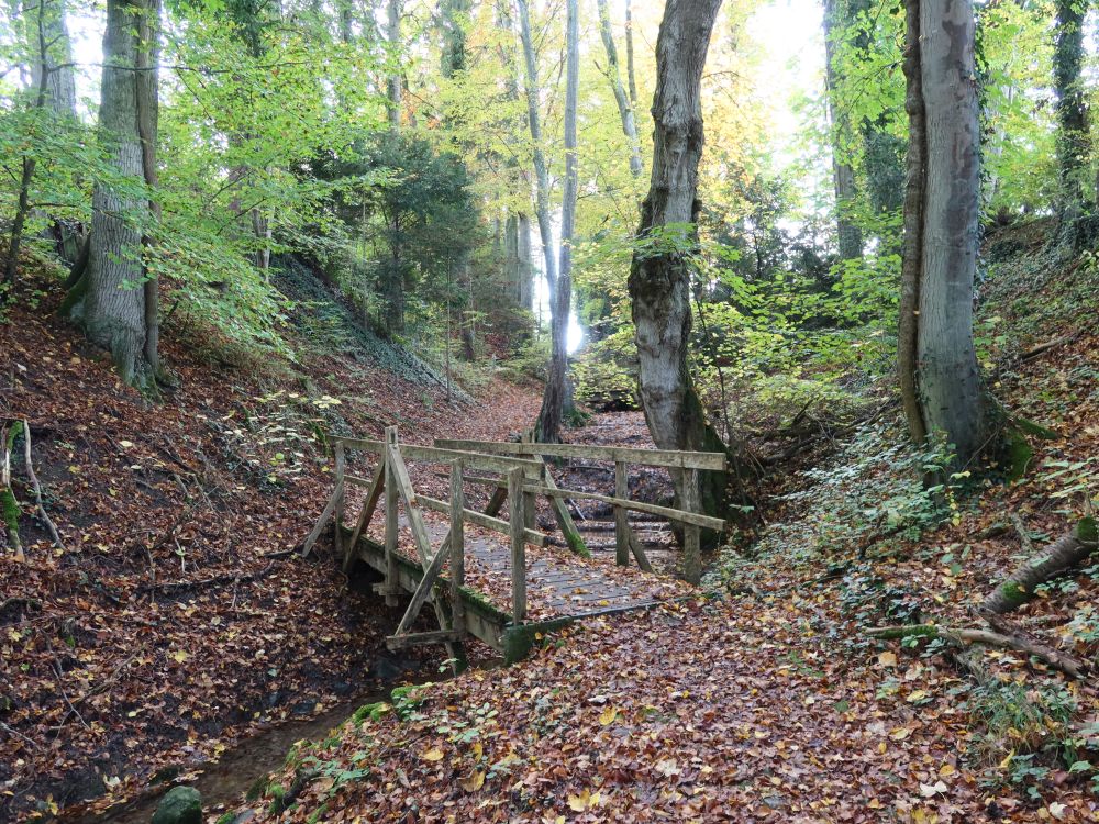 Tobel überm Schwanenteich