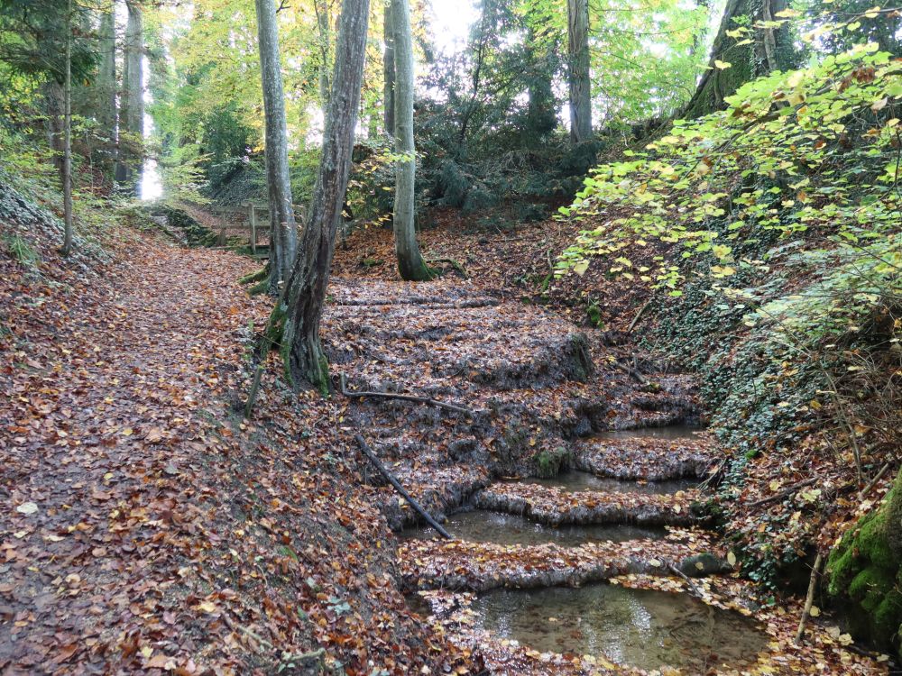 Tobel überm Schwanenteich