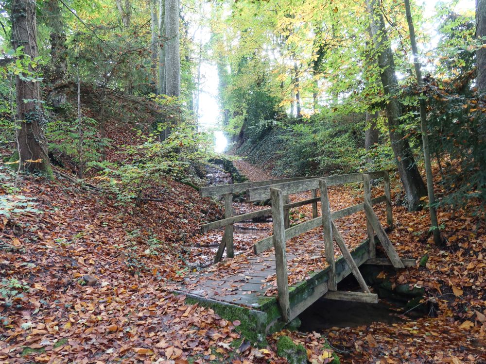 Tobel überm Schwanenteich