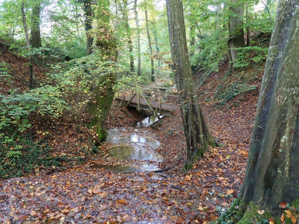 Tobel überm Schwanenteich