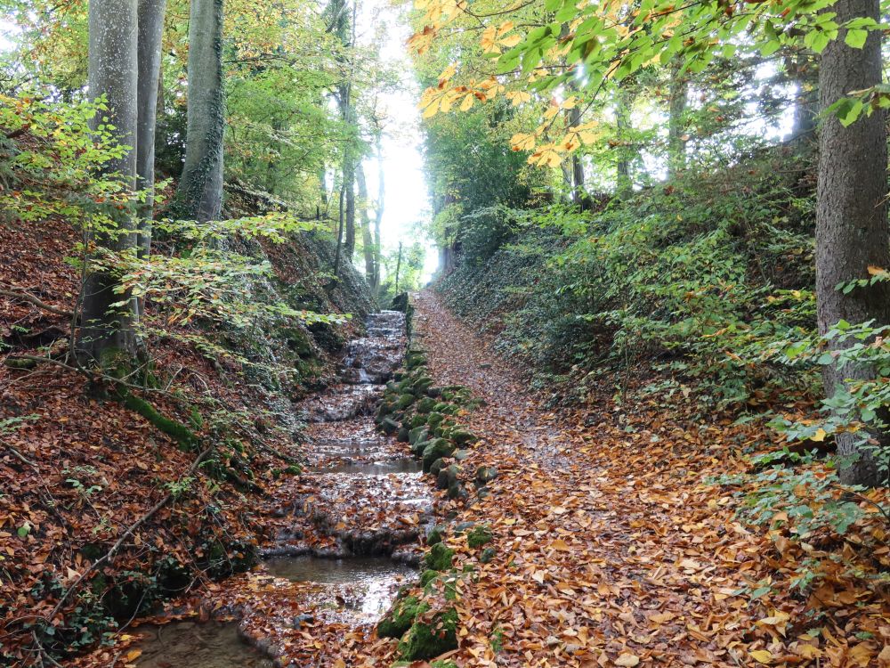 Tobel überm Schwanenteich