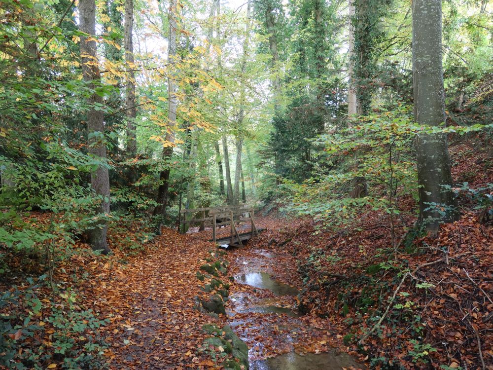 Tobel überm Schwanenteich