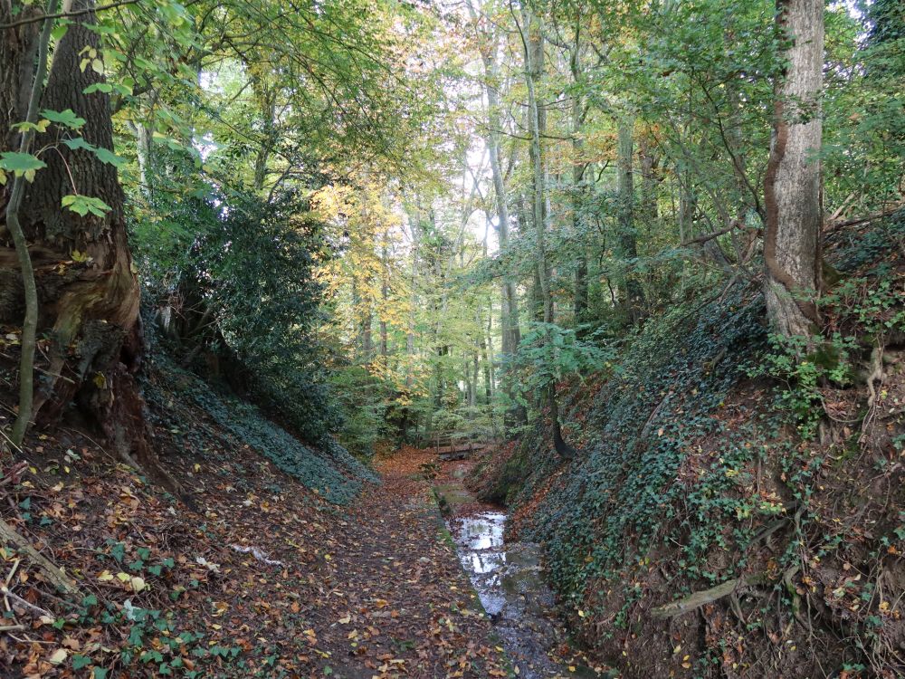 Tobel überm Schwanenteich