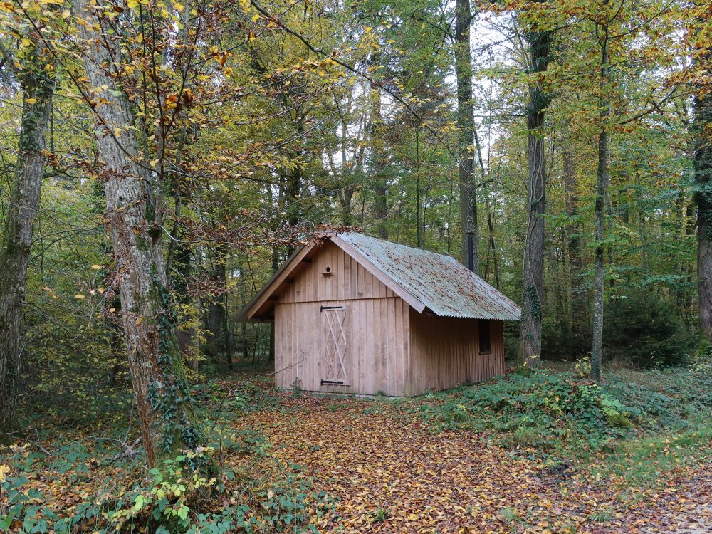 Waldhütte