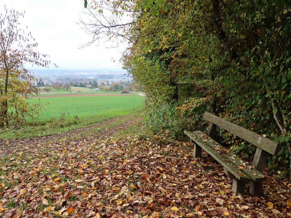 Sitzbank über Holzacker