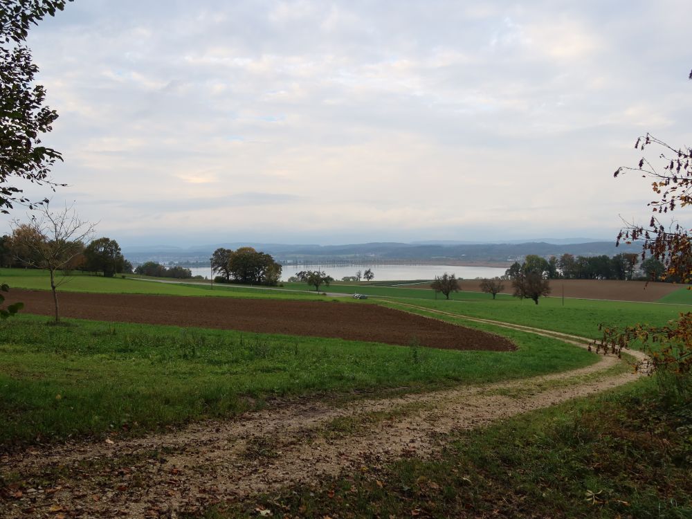 Blick Richtung Untersee