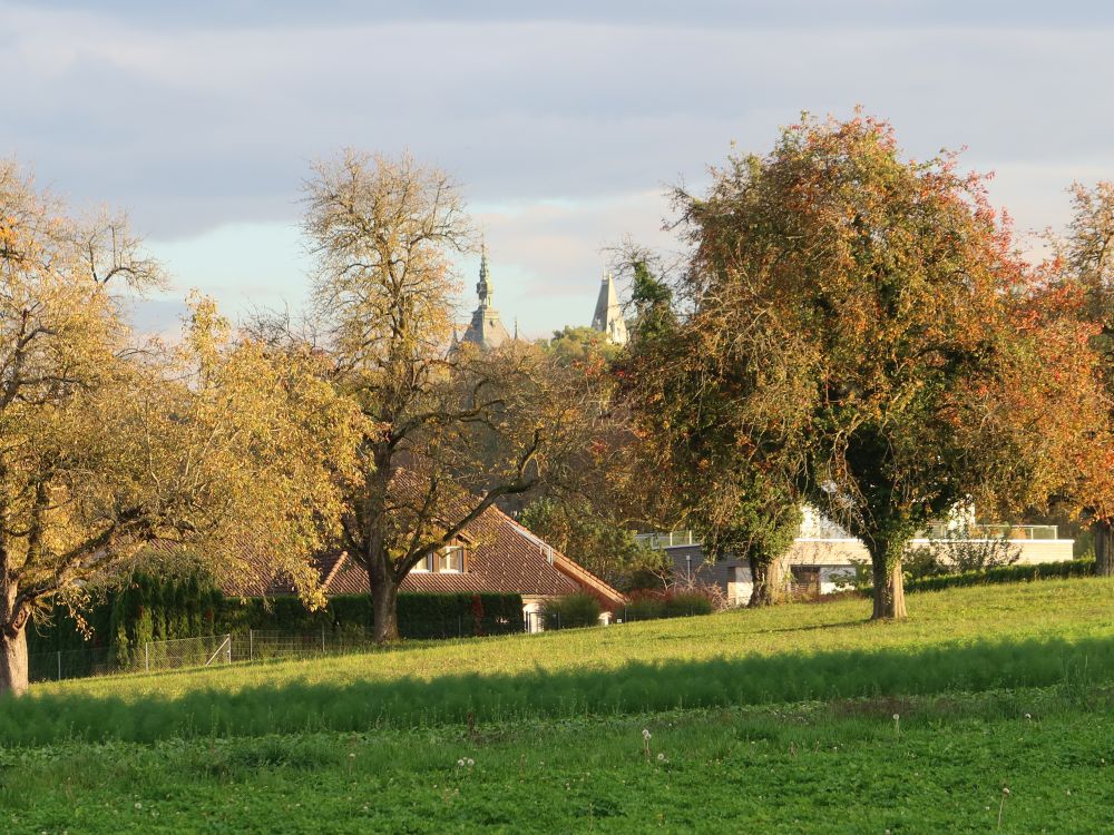 Türme von Schloss Castell