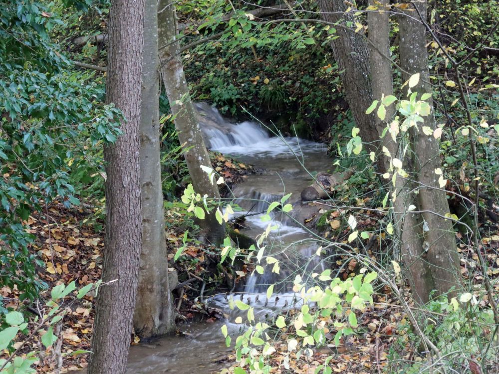 Wasserfall am Rüselbach