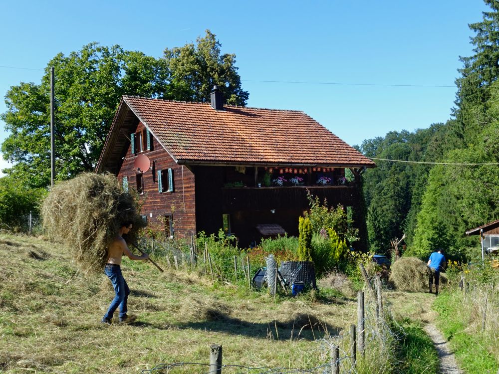 Bauernhof Chämmerli