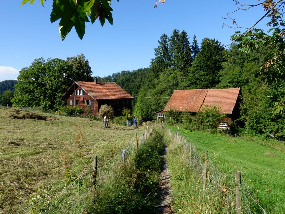Bauernhof Chämmerli