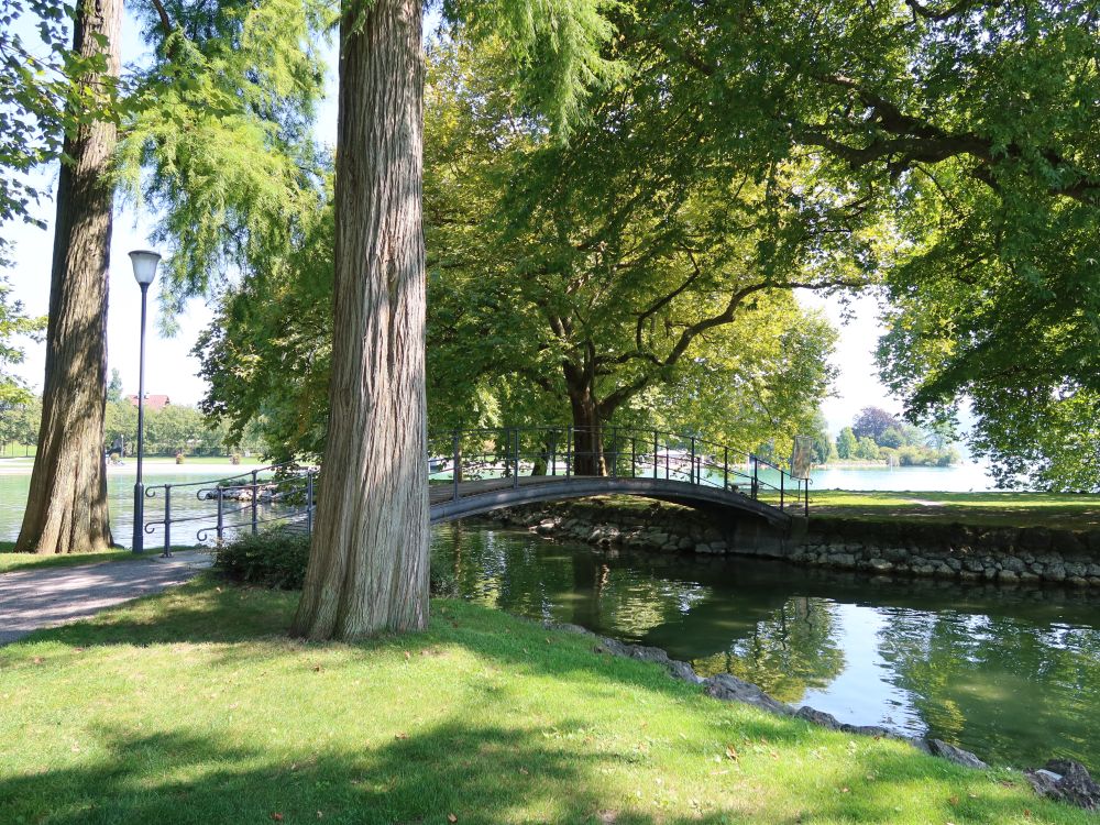 Brücke im Park Villette