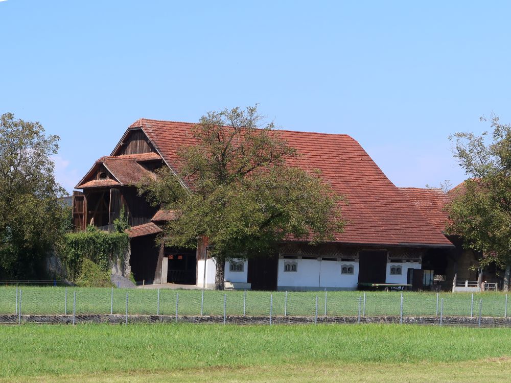 Stall und Scheune bei Frauenthal