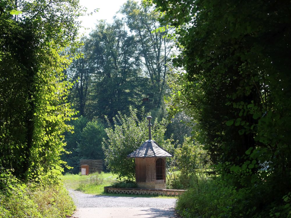 Gartenhäschen bei Ziegelhütte