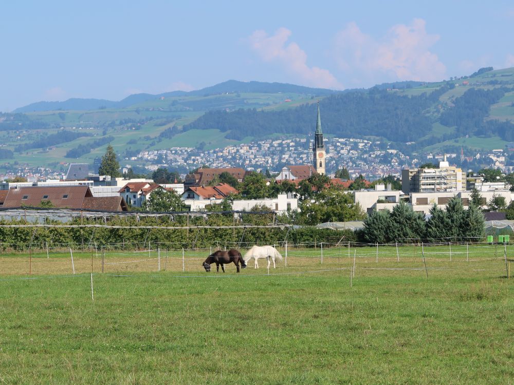 Blick Richtung Cham