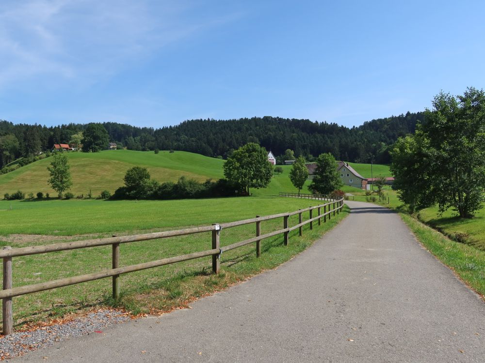 Strasse am Löchli