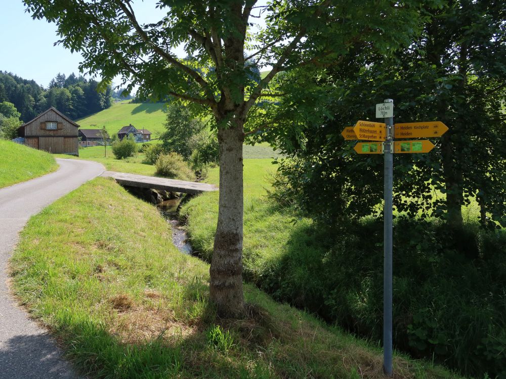 Wanderwegweiser am Löchli