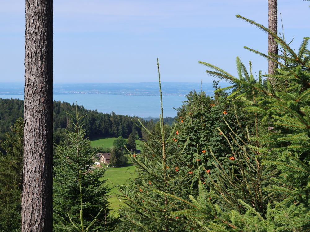 Blick zum Bodensee