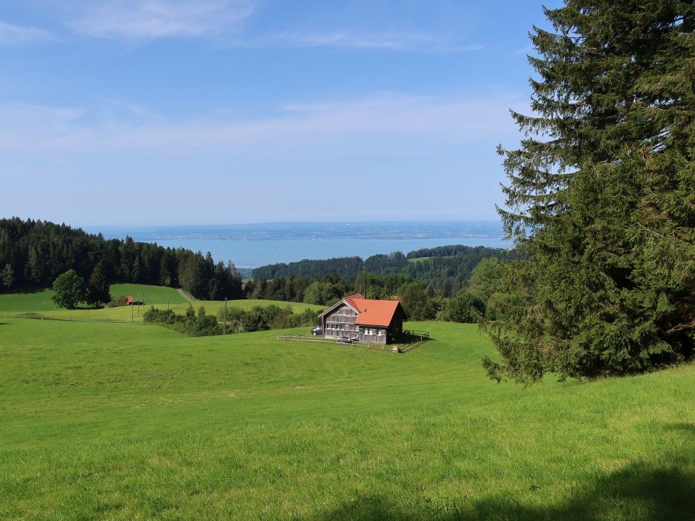 Blick Richtung Bodensee