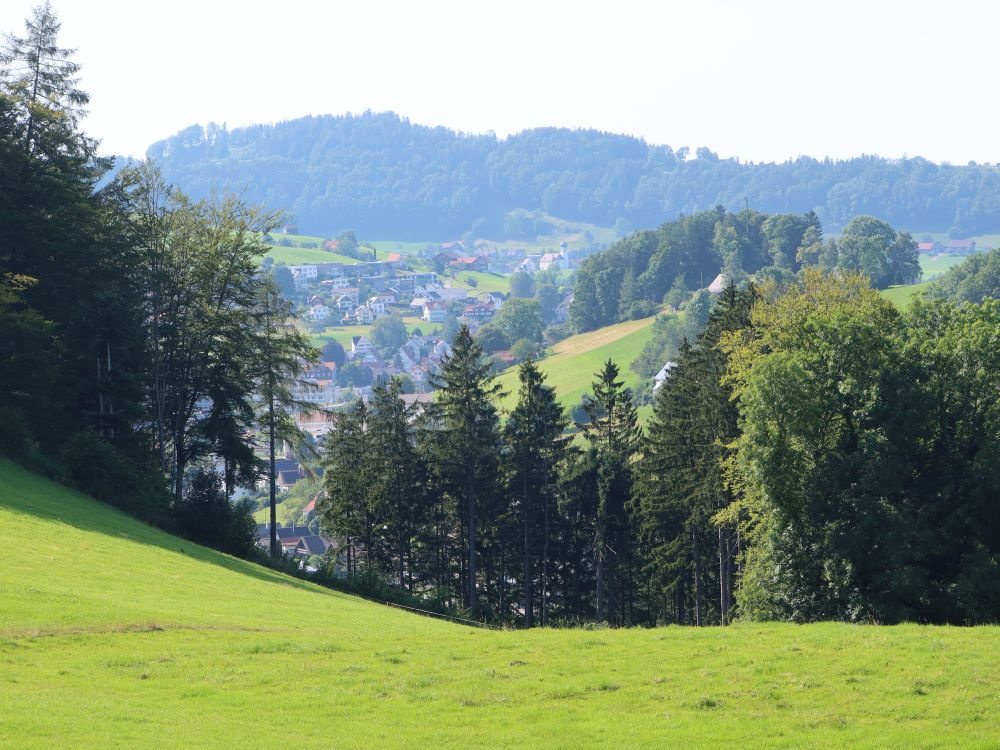 Häuser von Heiden und Grub