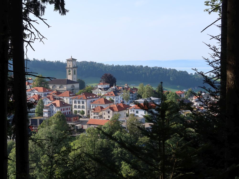 Blick auf Heiden