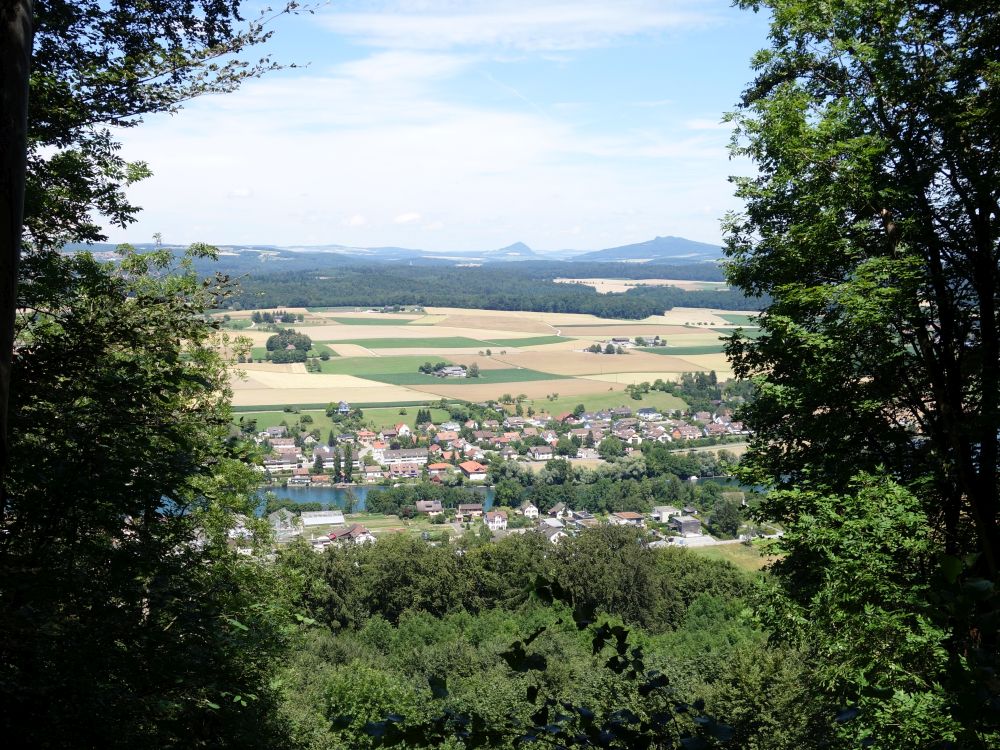 Blick auf Rhein und Hegau