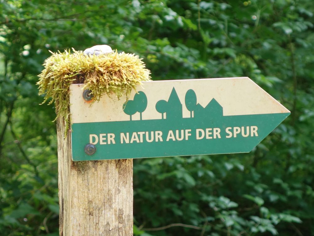 Wegweiser