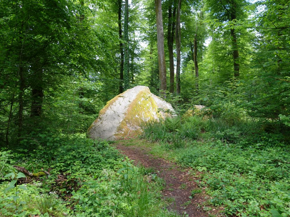 Bettlerstein