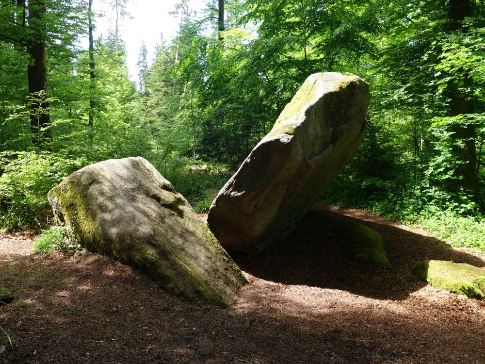Bettlerstein