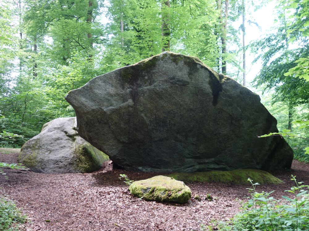 Bettlerstein