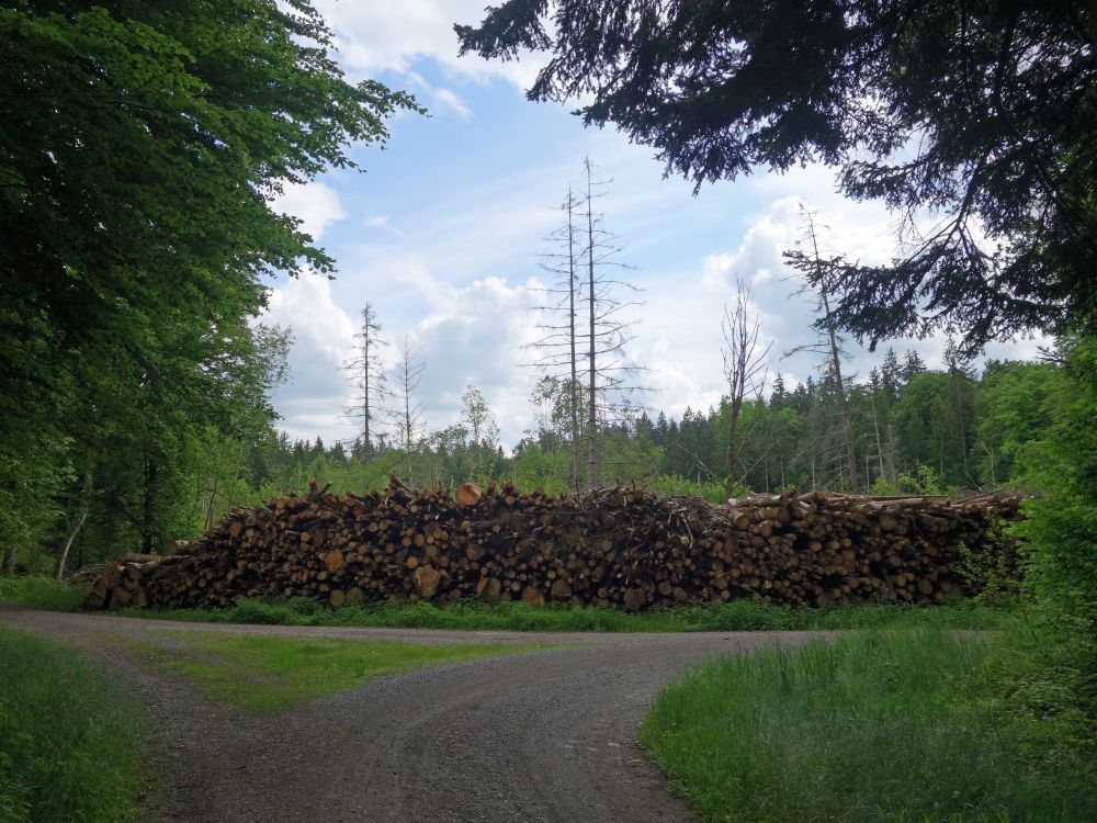 Holzstapel
