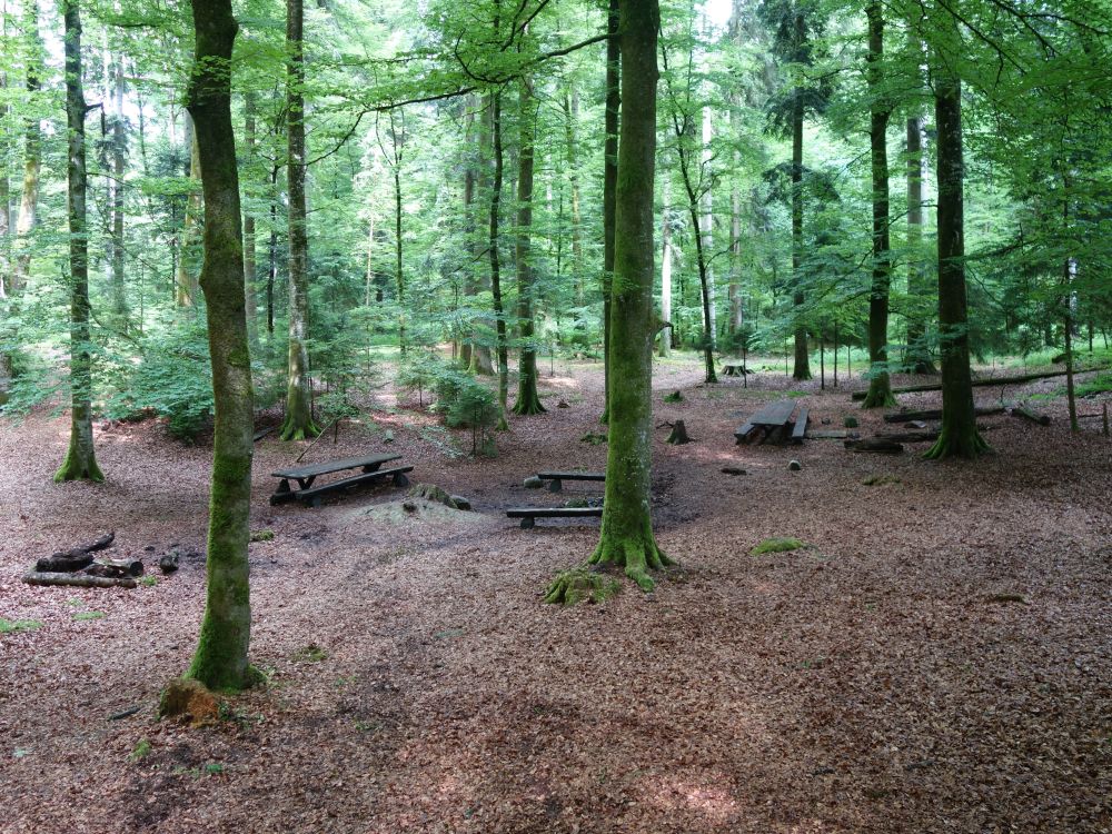 Picknickplatz