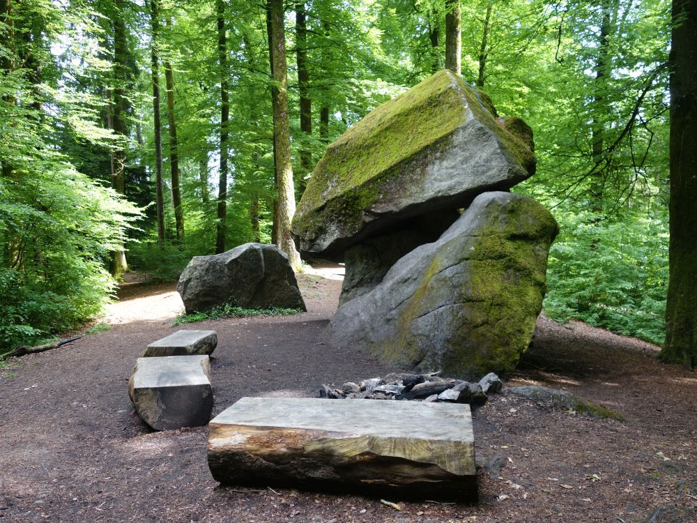 Erdmannlistein