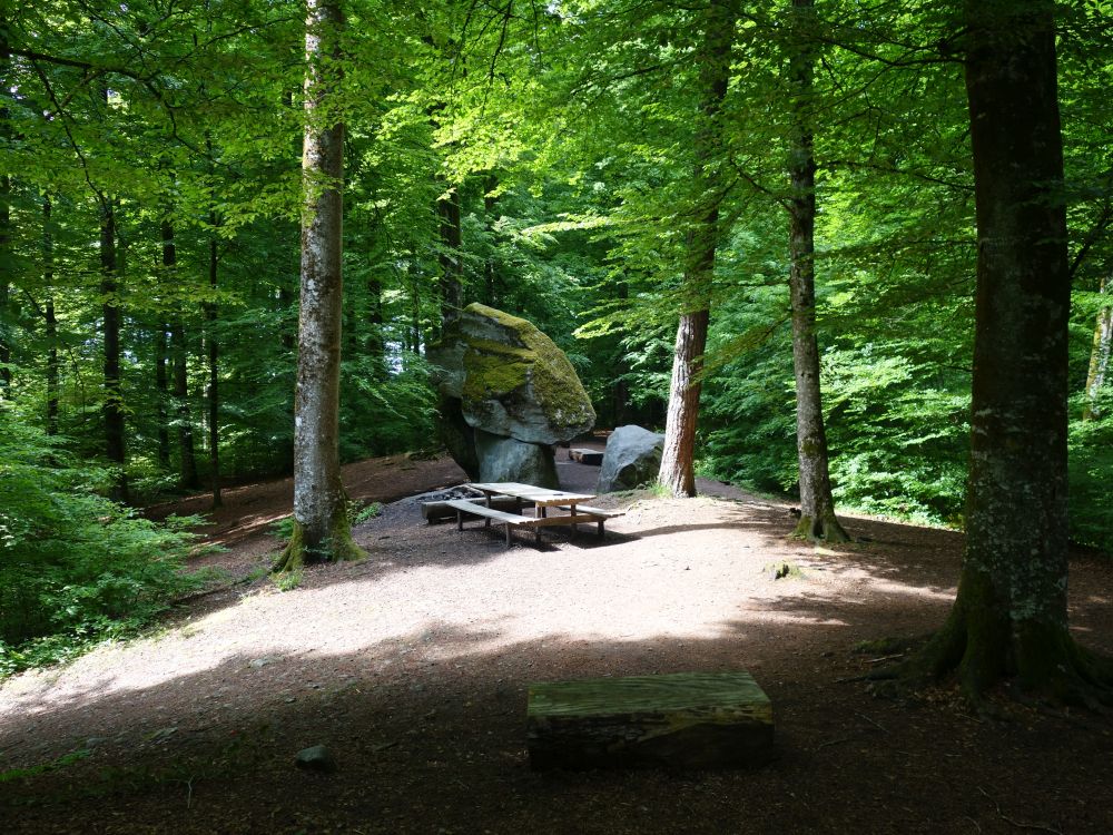 Erdmannlistein