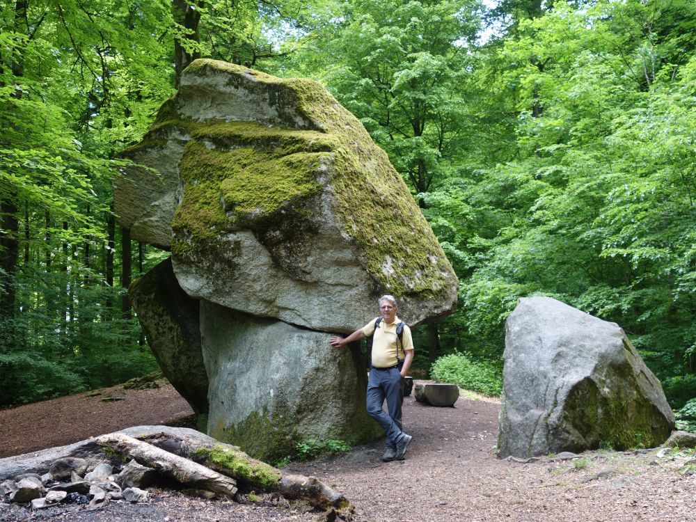 Erdmannlistein