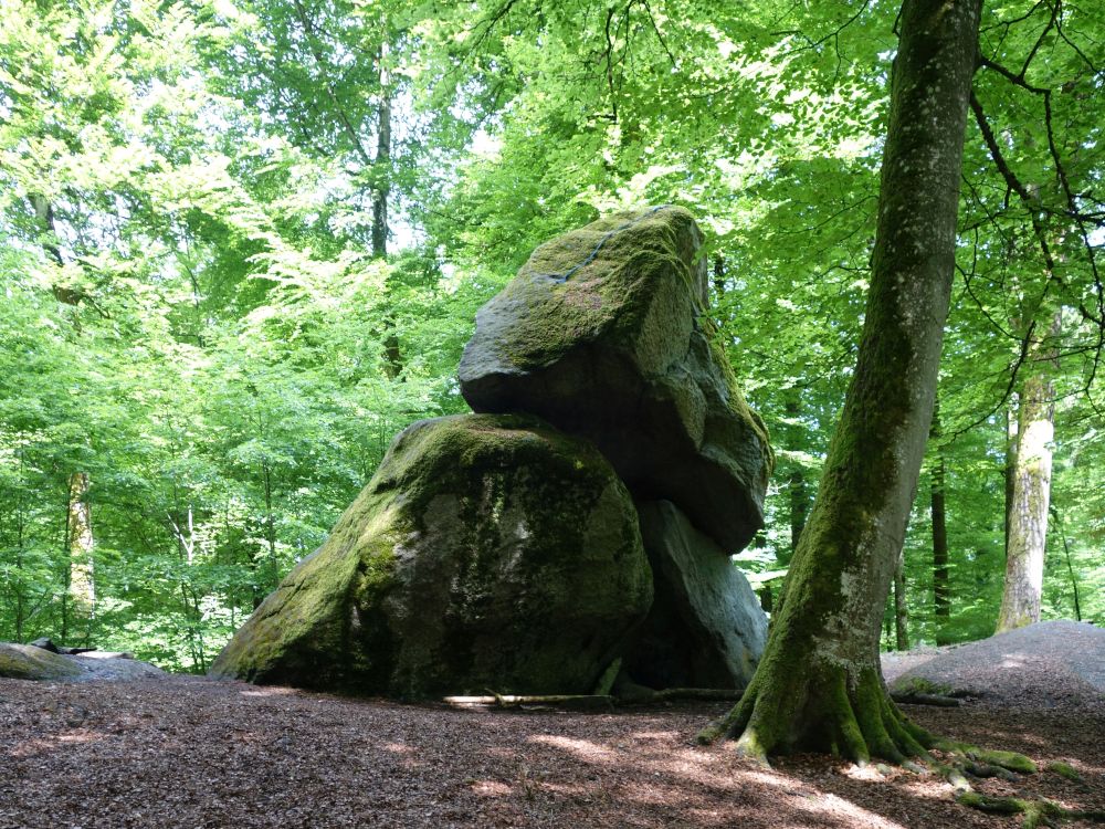 Erdmannlistein