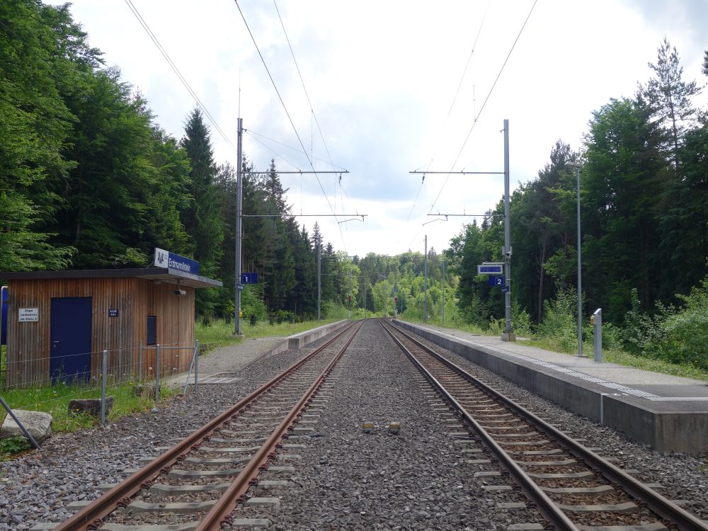 Station Erdmannlistein