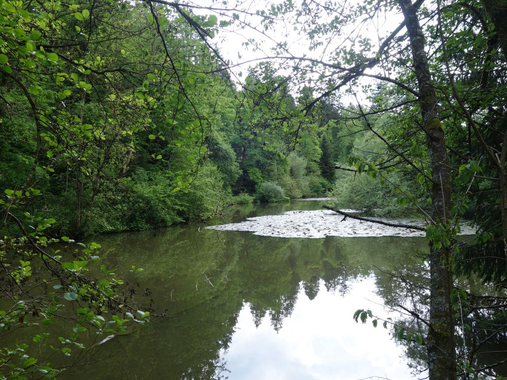 Steffetsmösli