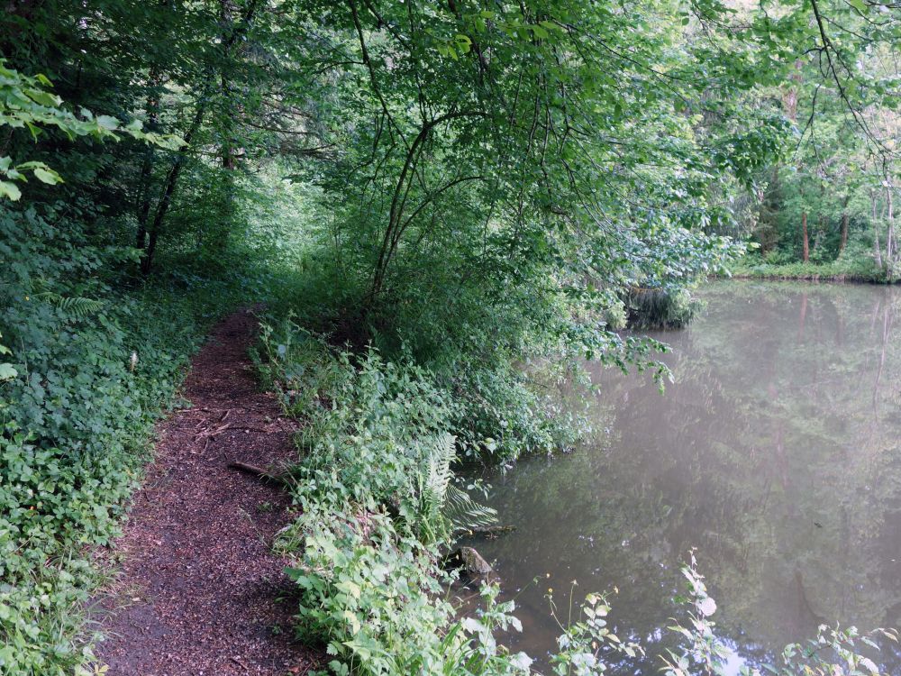 Steffetsmösli