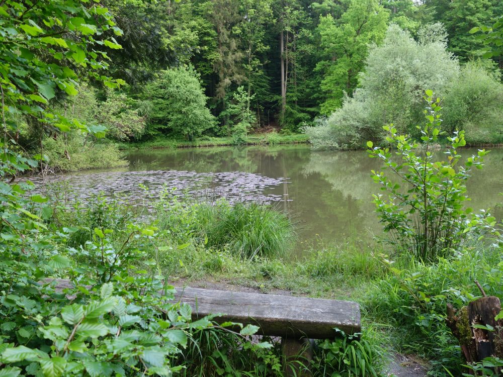 Steffetsmösli