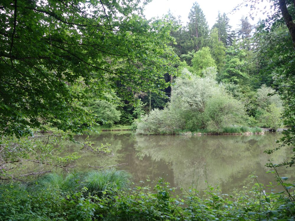 Steffetsmösli