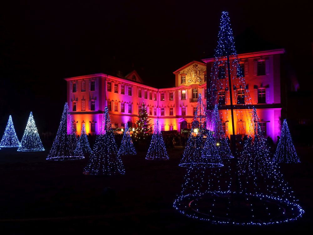 Funkelnder Lichterwald