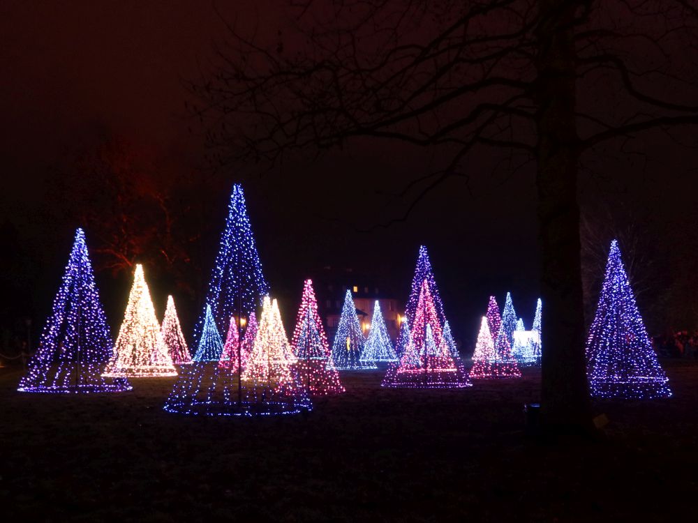 Funkelnder Lichterwald