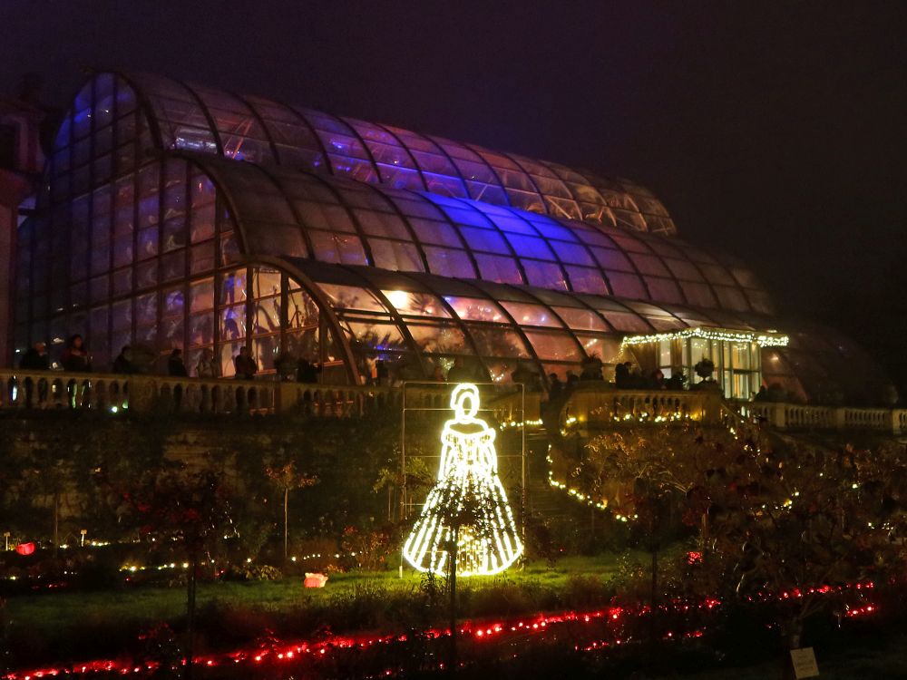 Dame unterm Palmenhaus