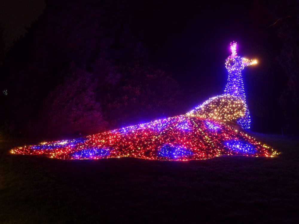 Schmuckes Federkleid